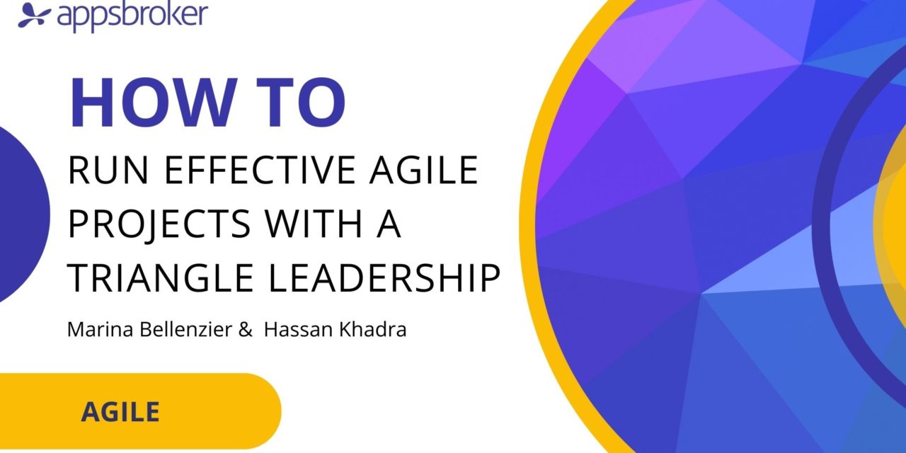 <strong>How to run effective Agile Projects with a Triangle Leadership</strong>
